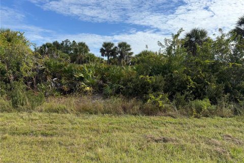 Land in Port Charlotte, Florida № 2166675