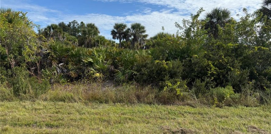 Land in Port Charlotte, Florida № 2166675