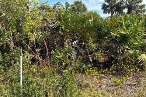 Land in Port Charlotte, Florida № 2166675 - photo 3