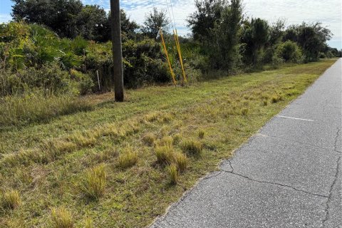 Land in Port Charlotte, Florida № 2166675 - photo 9
