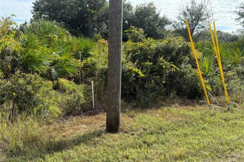 Land in Port Charlotte, Florida № 2166675 - photo 4