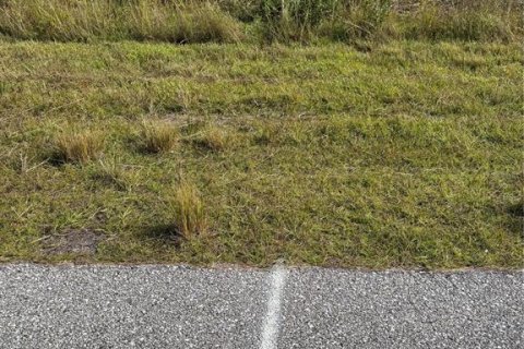 Land in Port Charlotte, Florida № 2166675 - photo 12
