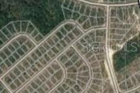 Land in Chipley, Florida № 2159834 - photo 3