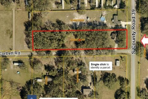 Casa en alquiler en Fish Hawk, Florida, 4 dormitorios, 166.48 m2 № 1915351 - foto 4