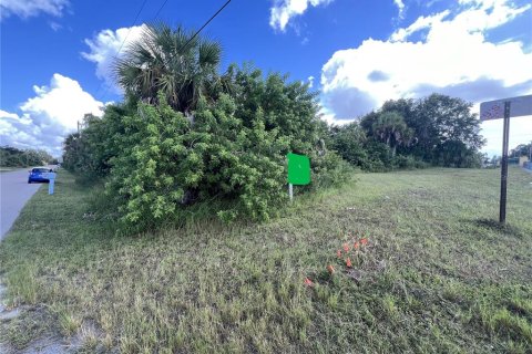Land in North Port, Florida № 2165587 - photo 3