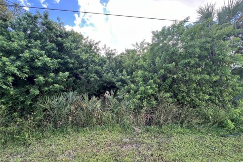 Land in North Port, Florida № 2165587 - photo 2