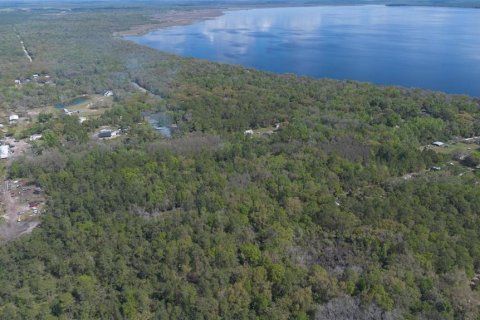Land in Geneva, Florida № 2214830 - photo 13