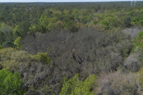 Land in Geneva, Florida № 2214830 - photo 21
