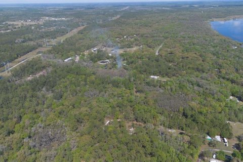 Land in Geneva, Florida № 2214830 - photo 11