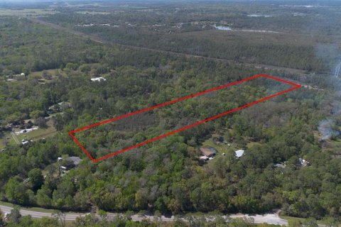 Land in Geneva, Florida № 2214830 - photo 8