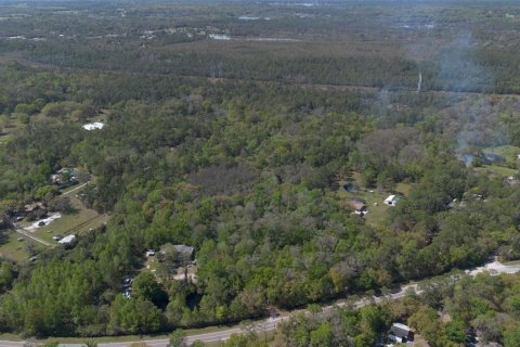 Land in Geneva, Florida № 2214830 - photo 20