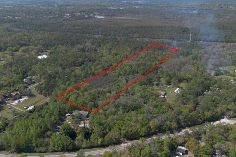 Land in Geneva, Florida № 2214830 - photo 9