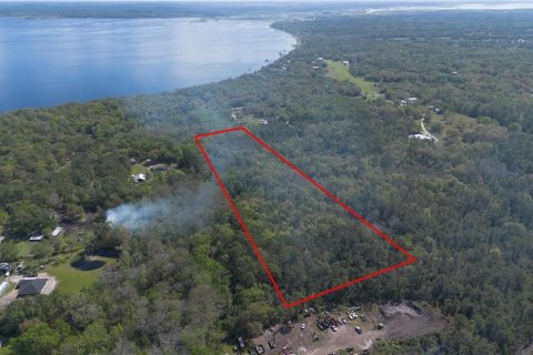 Land in Geneva, Florida № 2214830 - photo 6