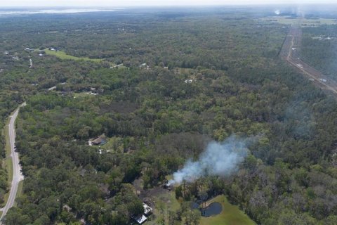 Land in Geneva, Florida № 2214830 - photo 17