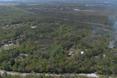 Land in Geneva, Florida № 2214830 - photo 19