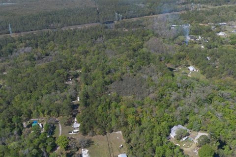 Land in Geneva, Florida № 2214830 - photo 10