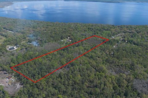 Land in Geneva, Florida № 2214830 - photo 4