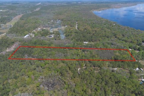 Land in Geneva, Florida № 2214830 - photo 2