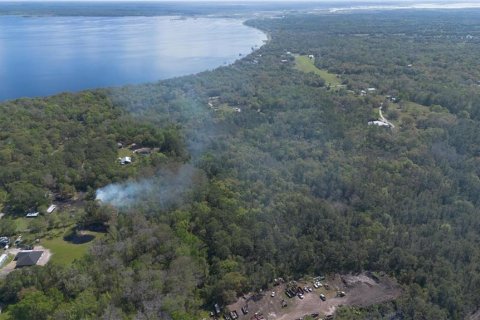 Land in Geneva, Florida № 2214830 - photo 16