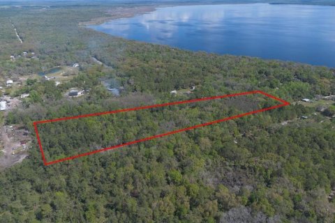 Land in Geneva, Florida № 2214830 - photo 3