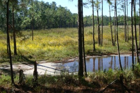 Terreno en venta en Frostproof, Florida № 2205859 - foto 9