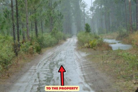 Terreno en Frostproof, Florida № 2205859
