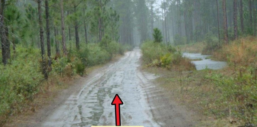 Terreno en Frostproof, Florida № 2205859