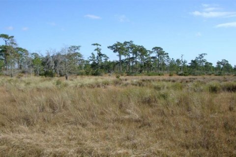 Terreno en venta en Frostproof, Florida № 2205859 - foto 6
