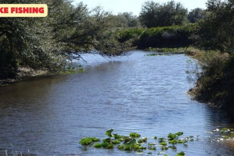 Terreno en venta en Frostproof, Florida № 2205859 - foto 12
