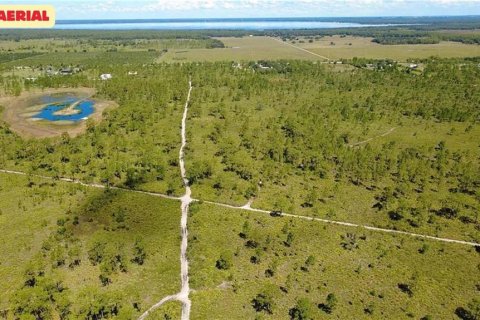 Terreno en venta en Frostproof, Florida № 2205859 - foto 4