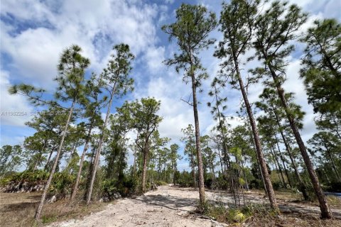 Casa en venta en Naples, Florida, 4 dormitorios, 150.13 m2 № 2050593 - foto 26