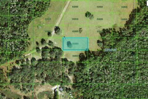 Terreno en Polk City, Florida № 2234912