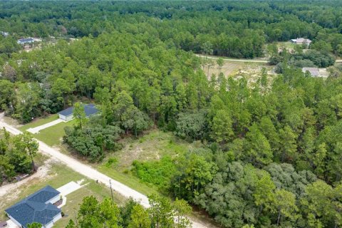 Terrain à vendre à Ocala, Floride № 1911722 - photo 4