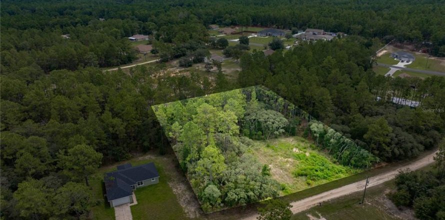 Terrain à Ocala, Floride № 1911722