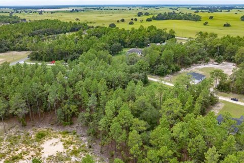 Terrain à vendre à Ocala, Floride № 1911722 - photo 8