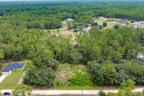 Terrain à vendre à Ocala, Floride № 1911722 - photo 3