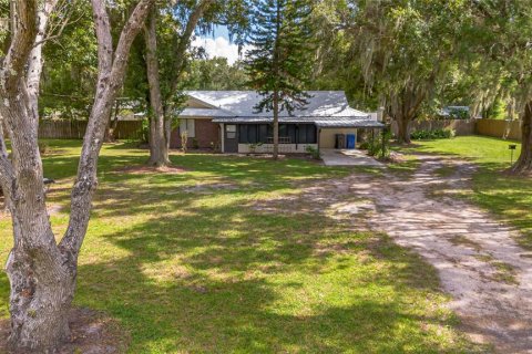 Casa en venta en Fish Hawk, Florida, 3 dormitorios, 119.66 m2 № 1915374 - foto 1
