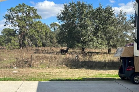 Land in Webster, Florida № 1838055 - photo 11