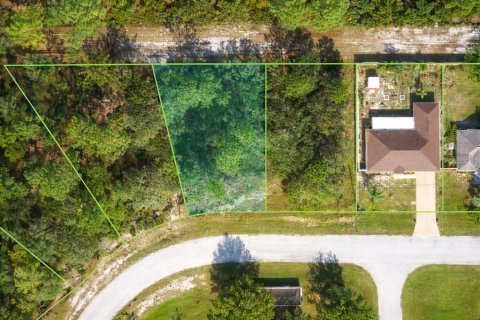 Land in Kissimmee, Florida № 2202430