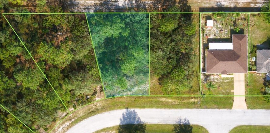 Land in Kissimmee, Florida № 2202430