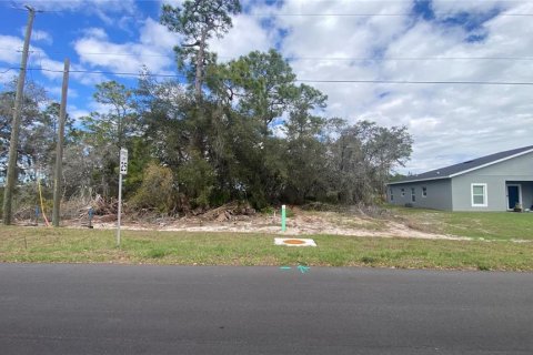 Land in Kissimmee, Florida № 2202430 - photo 3