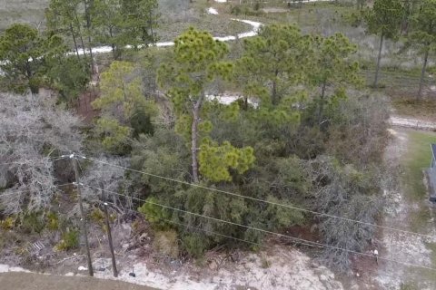 Land in Kissimmee, Florida № 2202430 - photo 2