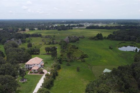 Terrain à vendre à Seffner, Floride № 1817504 - photo 7