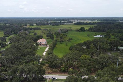 Land in Seffner, Florida № 1817504 - photo 3