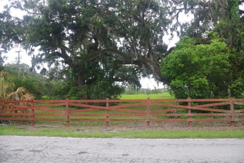 Terrain à vendre à Seffner, Floride № 1817504 - photo 12