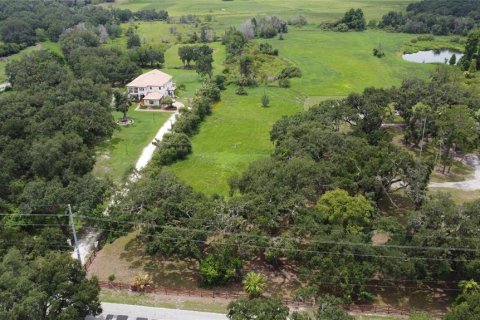 Land in Seffner, Florida № 1817504 - photo 15