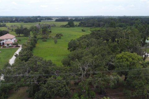 Terreno en venta en Seffner, Florida № 1817504 - foto 20