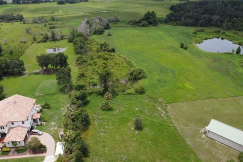 Terrain à vendre à Seffner, Floride № 1817504 - photo 17