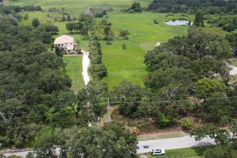 Terreno en venta en Seffner, Florida № 1817504 - foto 16