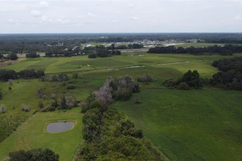 Terreno en venta en Seffner, Florida № 1817504 - foto 19